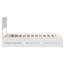Bed Frame-1705442692-1705442803