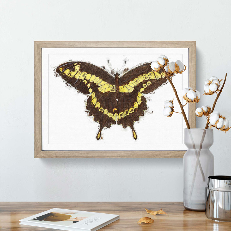 A Papilio Butterfly by George Shaw - Framed Print, 33cm H x 45cm W x 2cm D, Oak Framed