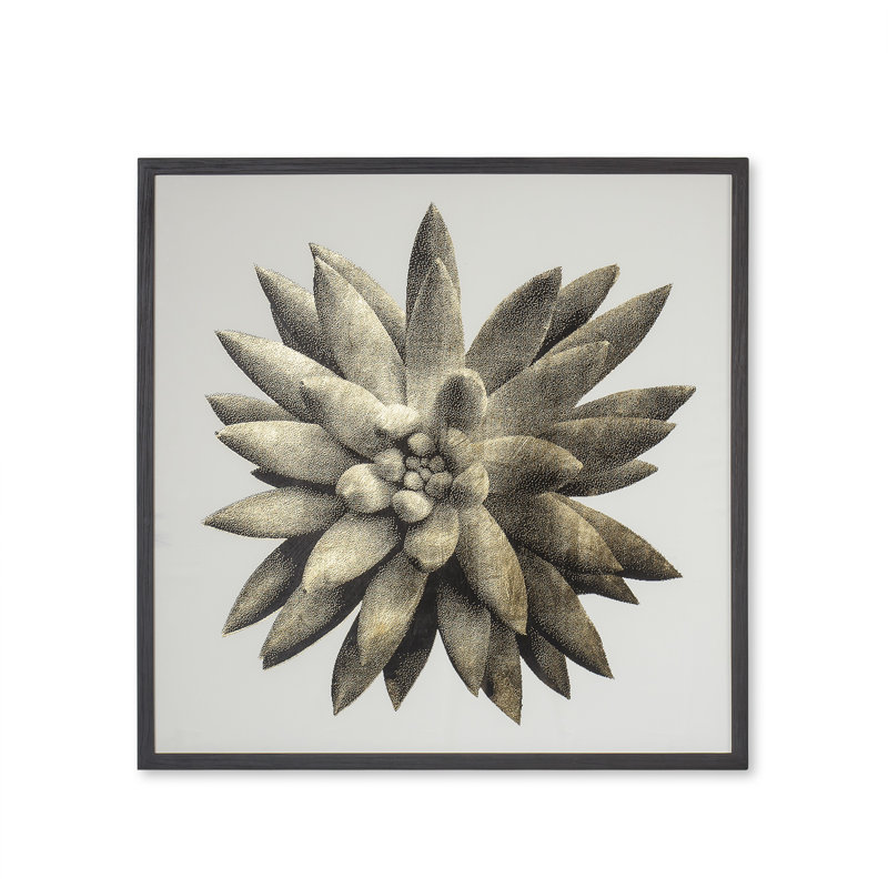 Gold Succulent A Print