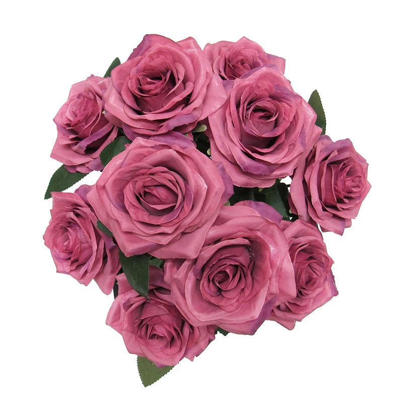 Grand rosier Jaafer Deluxe, Mauve foncé