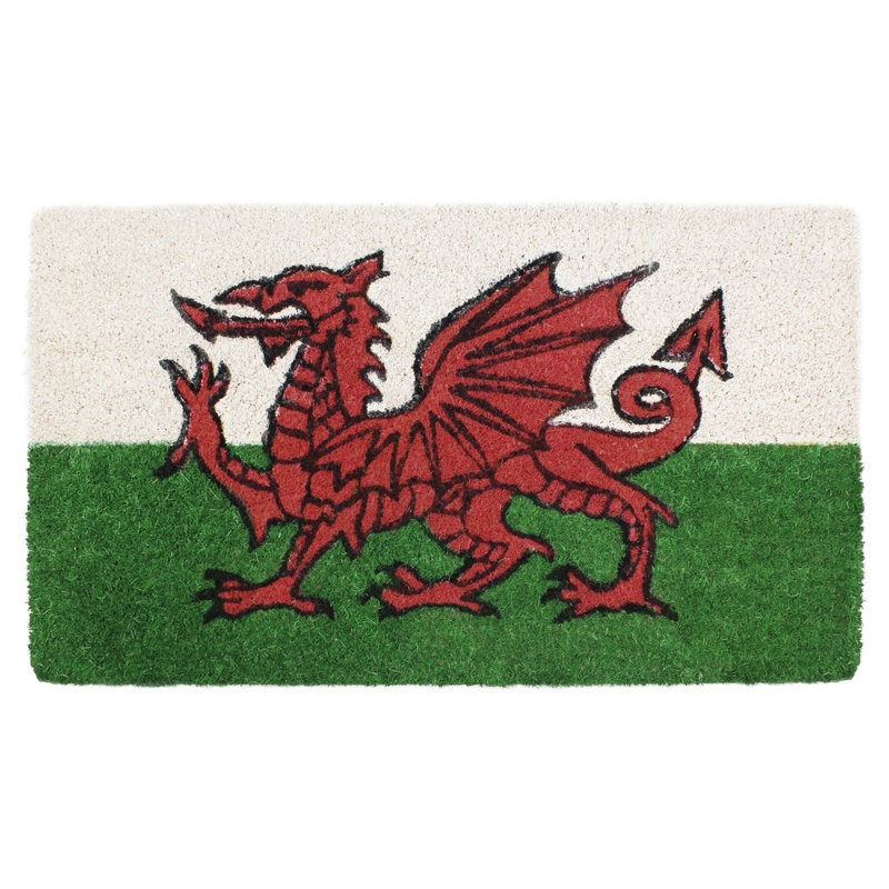 Non-Slip Outdoor Doormat