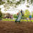 Climb & Slide Playset