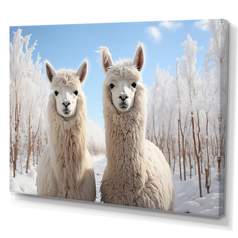 Alpagas Graceful Alpacas III - impression, H 16 po x l 32 po x P 1 po, Toile tendue