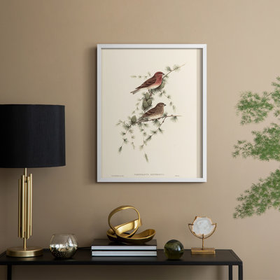 Vintage Animal Print XV Framed Print - Solid Wood