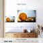 Coquillages de sable Aletra-108696471
