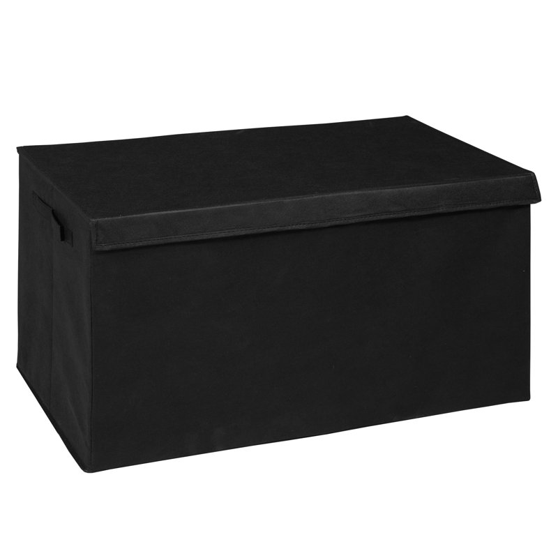 Niche Cubo Foldable Fabric Storage Trunk with Label Holder, Black