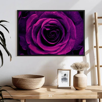 Rose mauve rosée