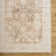 Norene Oriental Indoor Rug