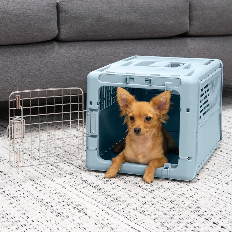 Chenil pour animal pliable, très petit 19 po (bleu)