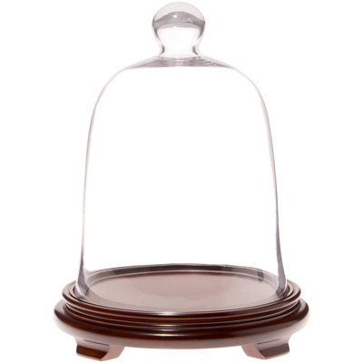 Cogburn 8.5" x 11" Bell Jar Glass Display Dome Cloche