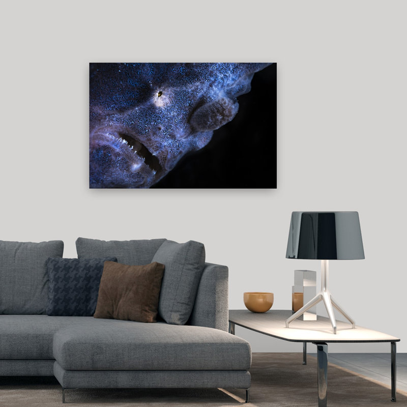 Electric Blue Frogfish Contemporary Fish Nature Ocean Wall Art Print, H 32 po x l 48 po