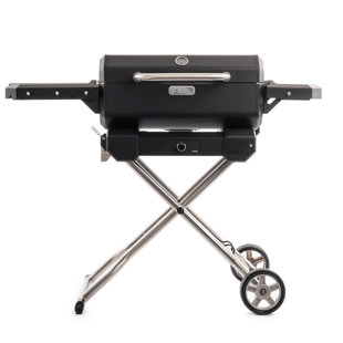 https://assets.wfcdn.com/im/68069559/resize-h310-w310%5Ecompr-r85/2078/207858211/masterbuilt-portable-charcoal-grill-with-cart.jpg