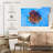 Brampt Freshwater Discus Fish-107860115
