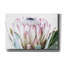«Pale Protea Détail I» sur toile par Elise Catterall-1458067919