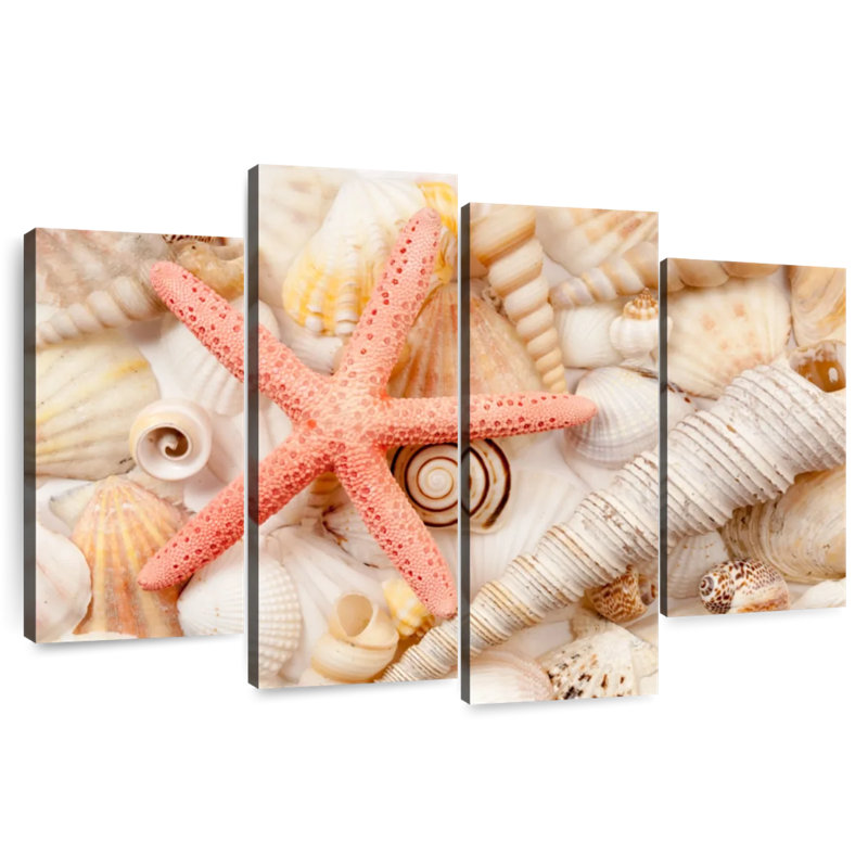 Aletra Seashell Pile, 54" H x 84" W