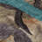 Premium Machine Washable Mayfield AMF2191 abstract Rug-699565694-699565693