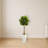 Fiddle Leaf Tree in White Tower Planter