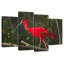 Red Ibis Bird-108863803