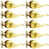 Polished Brass