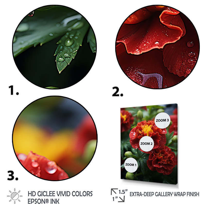 Red Marigold Medley - art mural souci, Cadre flottant brun, H 32 po x l 16 po x P 1 po