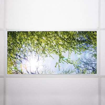 Couvre-lampes fluorescents Tree Classroom pour plafonniers - pour luminaire 2 x 4 - par Octo Lights