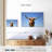 Longhorn Cattle Portrait-107701143