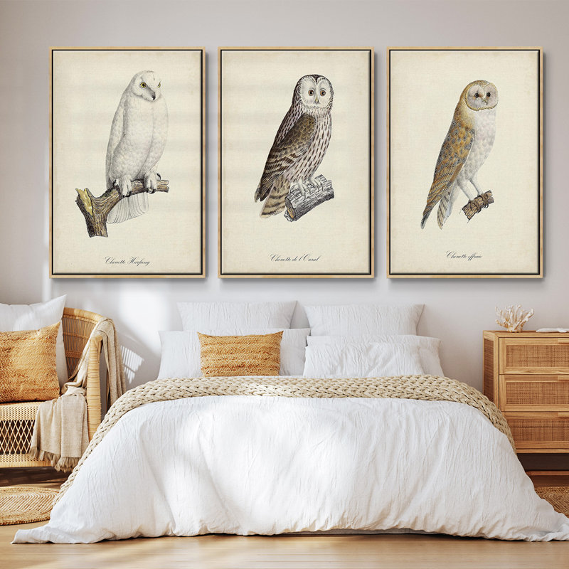 French Owls IV, ensemble de 3 toiles encadrées sur toile, H 40 po x l 78 po, Cadre en bois naturel