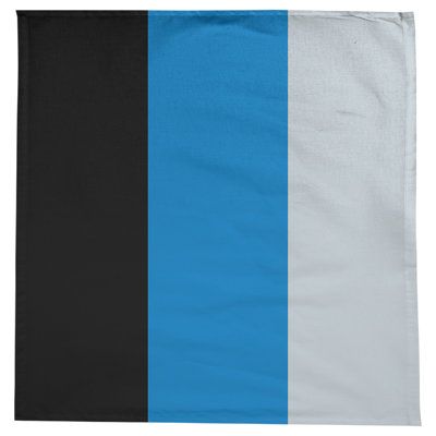 Orlando Basketball Tablecloth