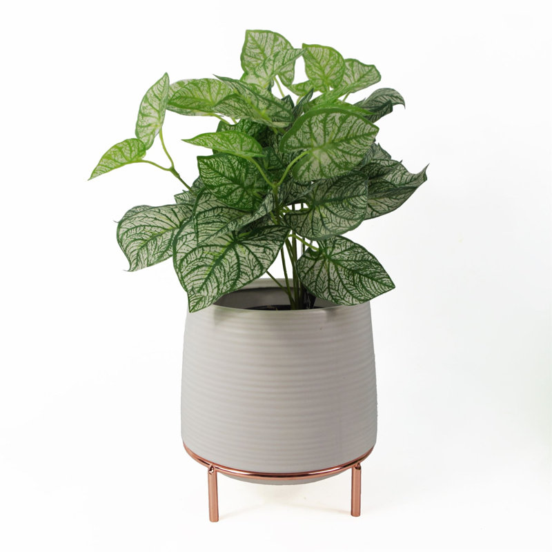 Ceramic Cachepot