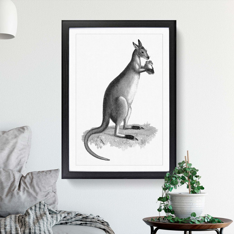 Kangaroo by George Shaw - Picture Frame Graphic Art Print, 48cm H x 36cm W x 2cm D, Black Framed