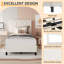 Bed Frame-779834818-779834819