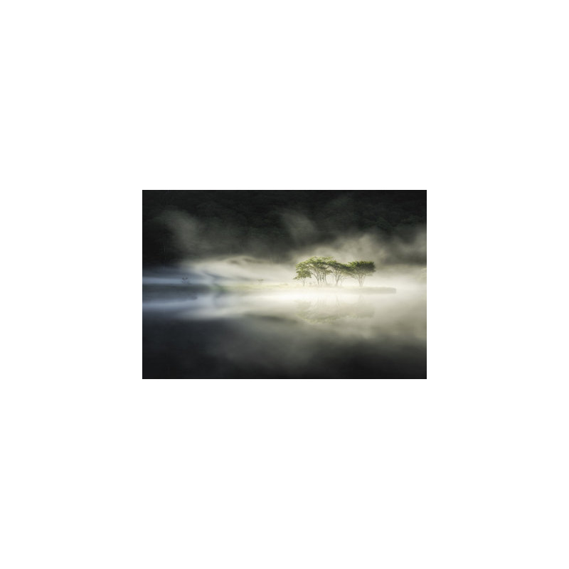 Wrapped Canvas Print, 50.8cm H x 76.2cm W