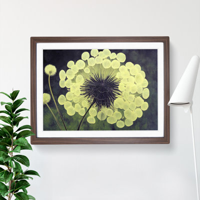 Captivating Dandelion Flowers - Framed Print