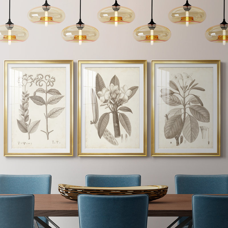 Antique sépia botanicals VI - reproduction encadrée sur mesure de qualité supérieure - 3 pièces, H 15 po x l 19 po, Doré
