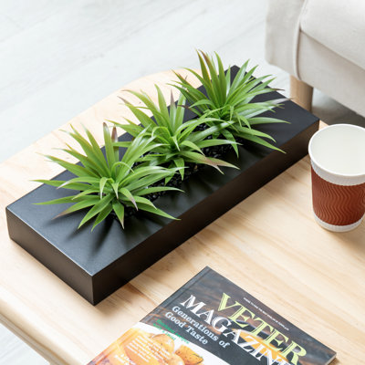 Artificial Grass in Planter