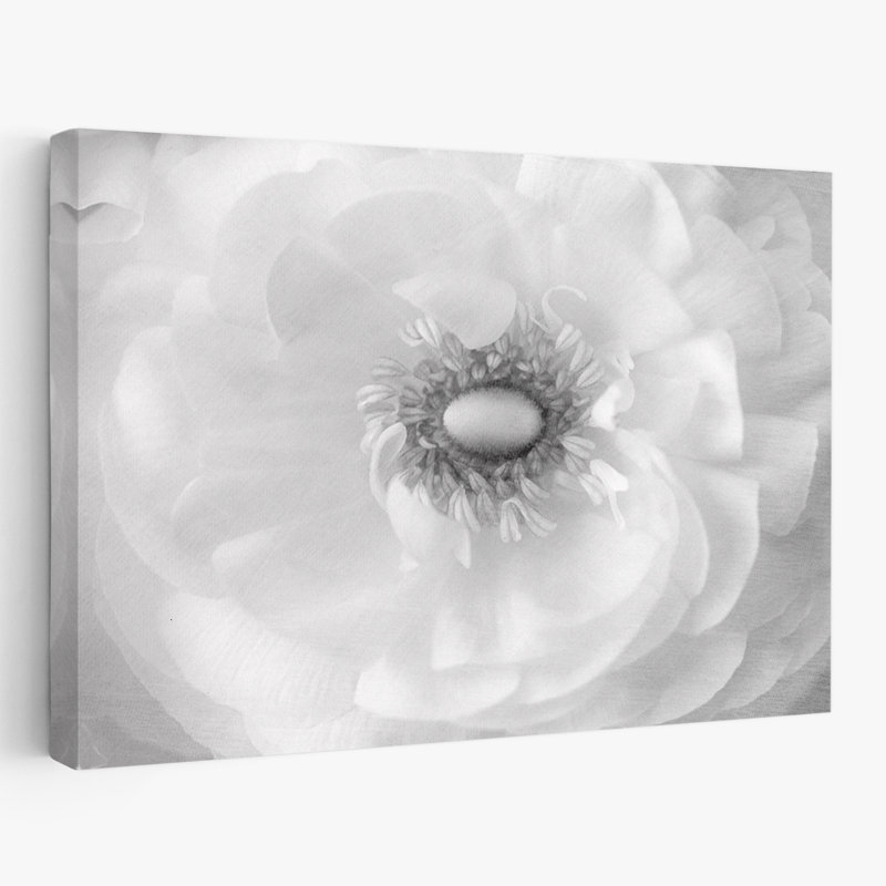 Plantes, fleurs, pureté II, art mural, H 24 po x l 36 po
