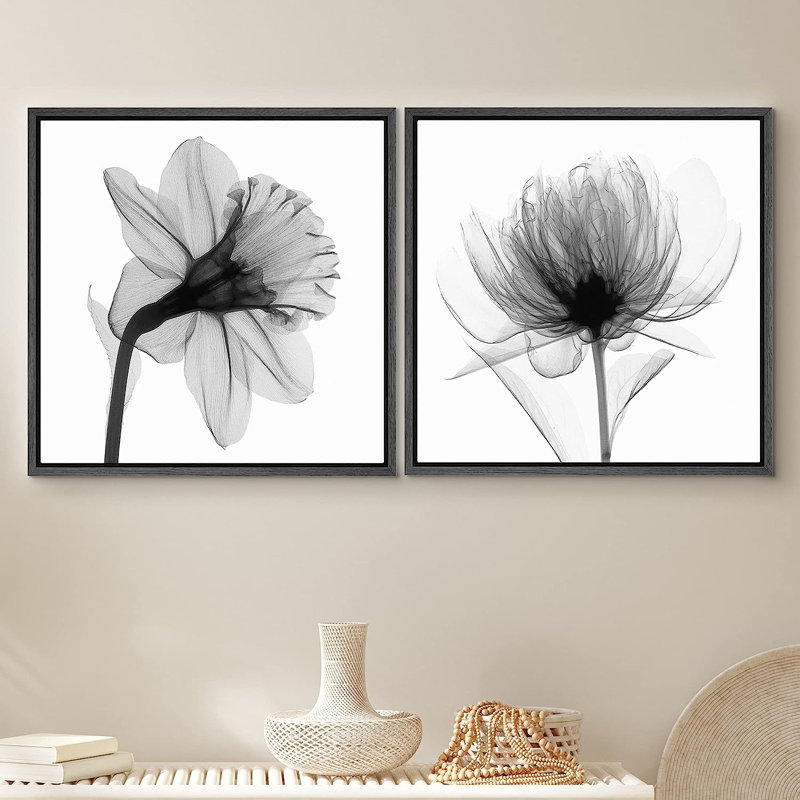 Minimal Botanical " X-Ray Water Lily Closeups " 2 Piece Art Graphic Art Print, 24" H x 48" W x 1.5" D, Black