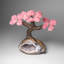 Custom - Genuine Rose Quartz Clustered Gemstone Tree On Amethyst Geode Matrix (The Love Tree)