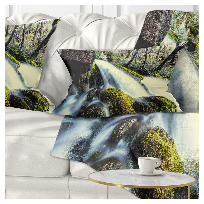Coussin lombaire en mer dans une forêt sur des roches