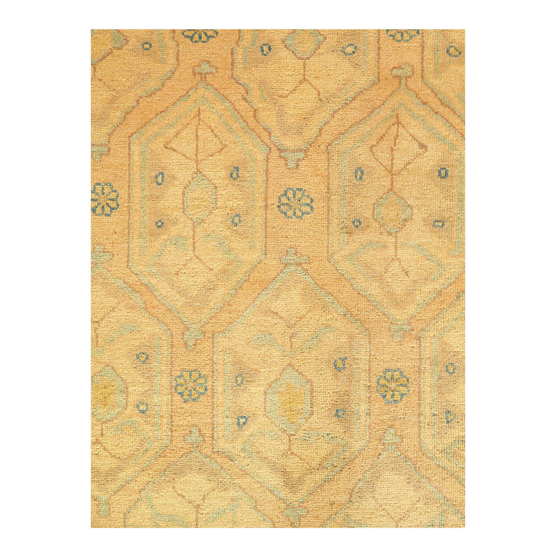 Wool Oriental Area Rug in Tan/Ivory