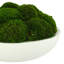 5" Artificial Moss Plant in Planter-729850858