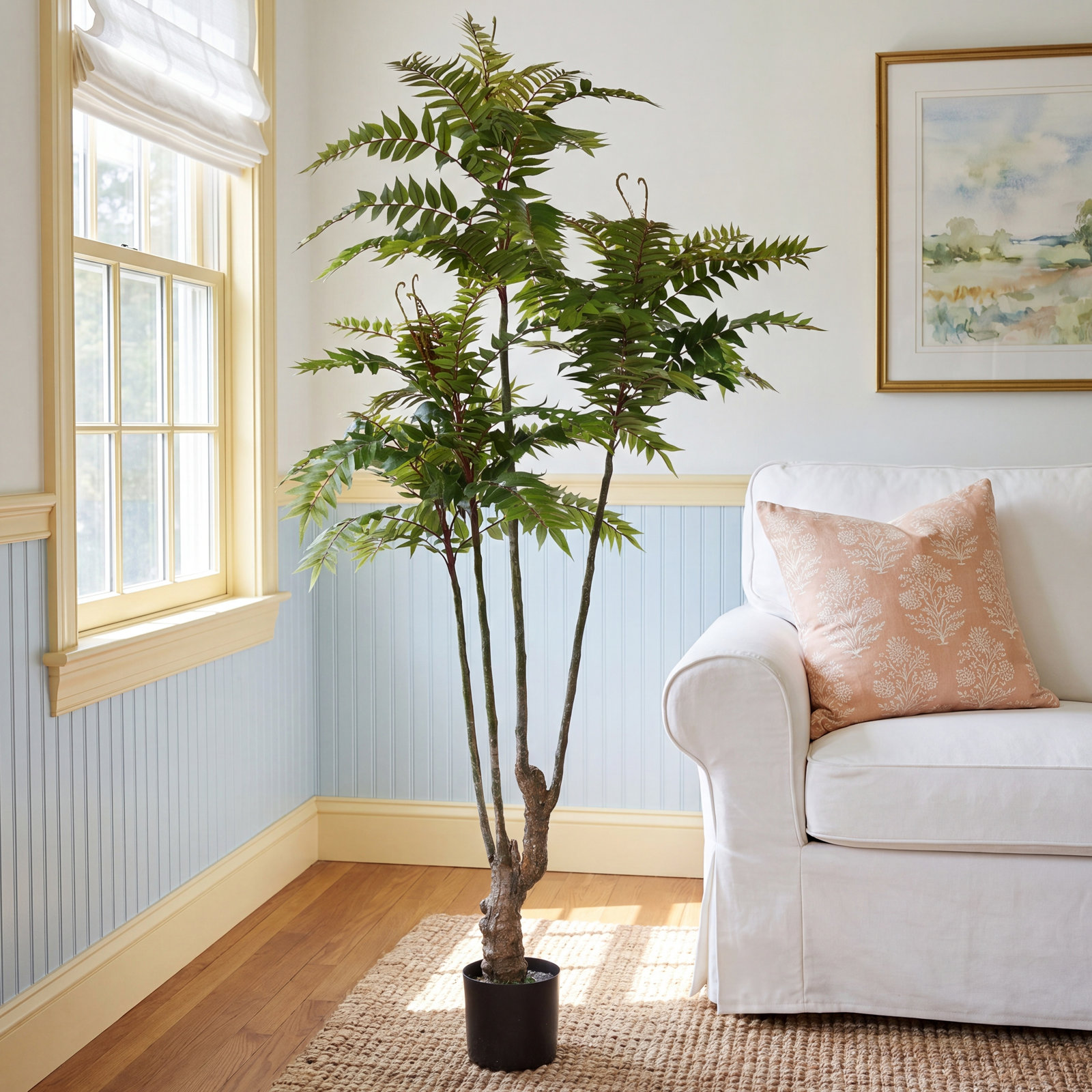 74.8'' TOONA SINENSIS Plant