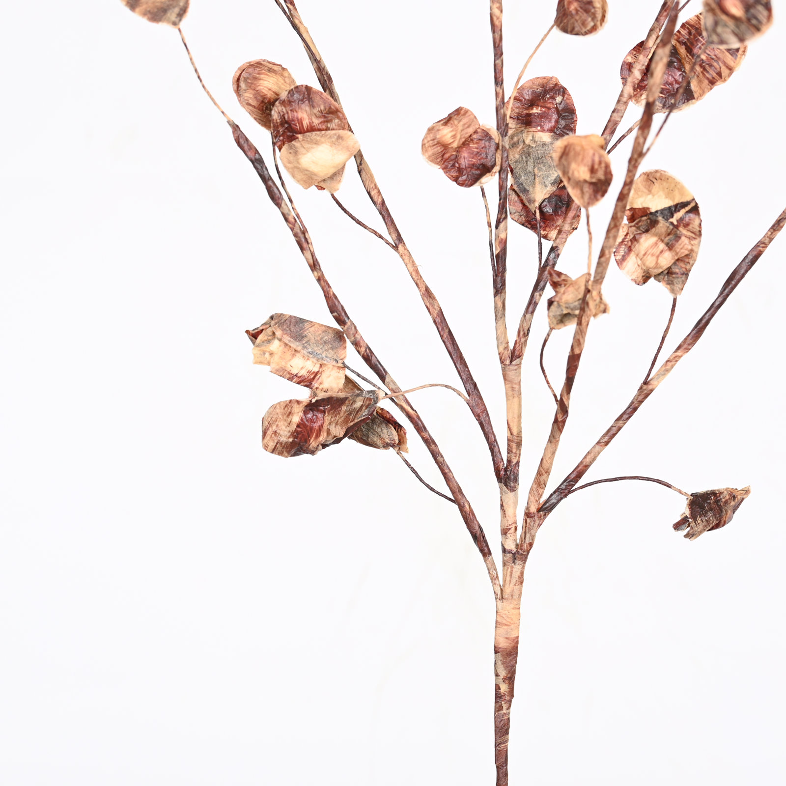 Foliage Blossom Stems, Beige