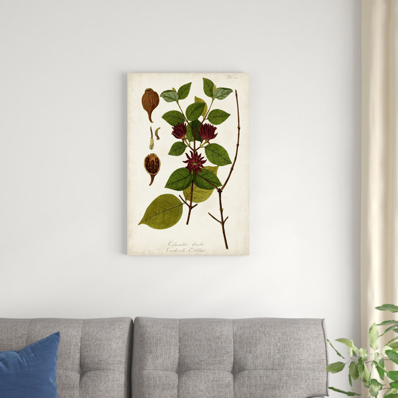 Verdure antique I, H 30 po x l 20 po
