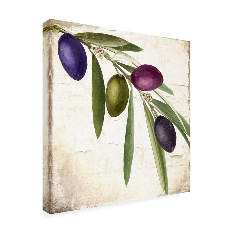 Art sur toile Sasha Olive Branch Iv, H 14 po x l 14 po