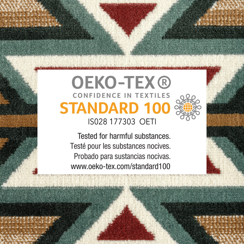 Araud Southwestern Indoor Rug