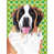 Saint-Bernard sélectionné