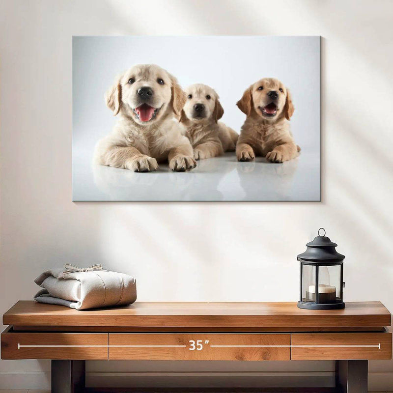 Brampt Golden Retriever de Brampt, H 16 po x l 24 po