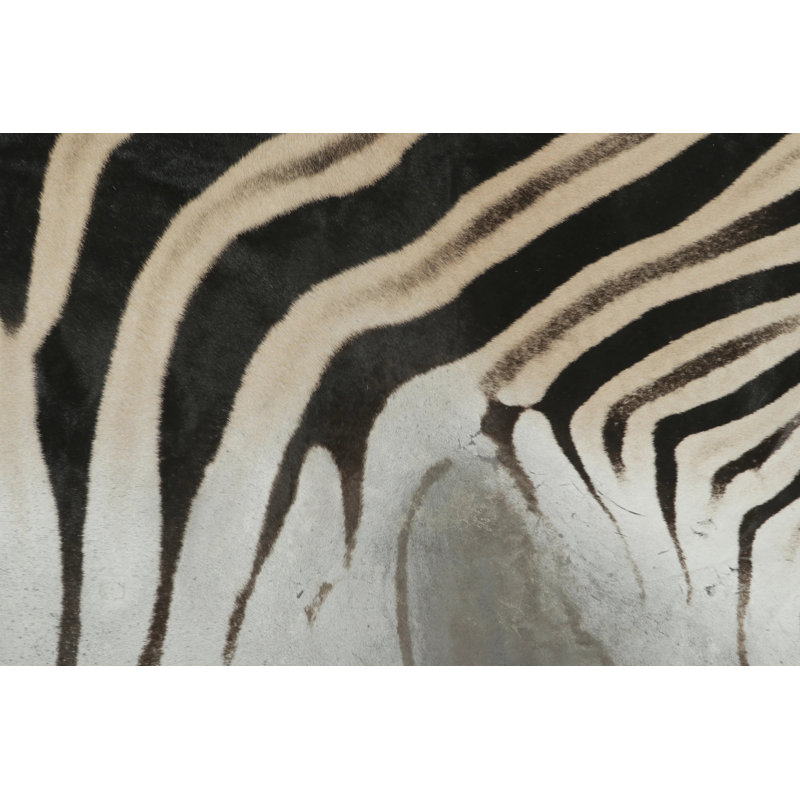 Modern Area Rug