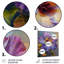 Hibiscus mauve, jaune et violet-106122234-106122239